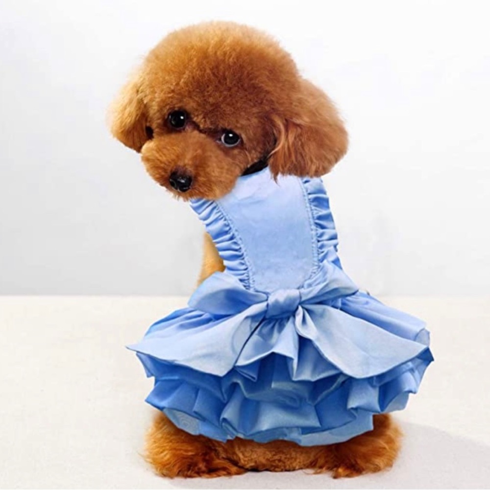 Blue Ruffled Dress for Dogs